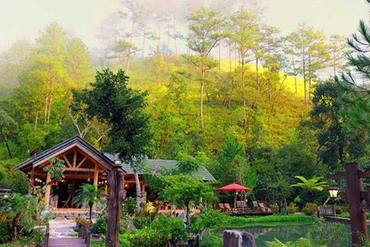 Ma Rừng Lữ Quán - Đà Lạt